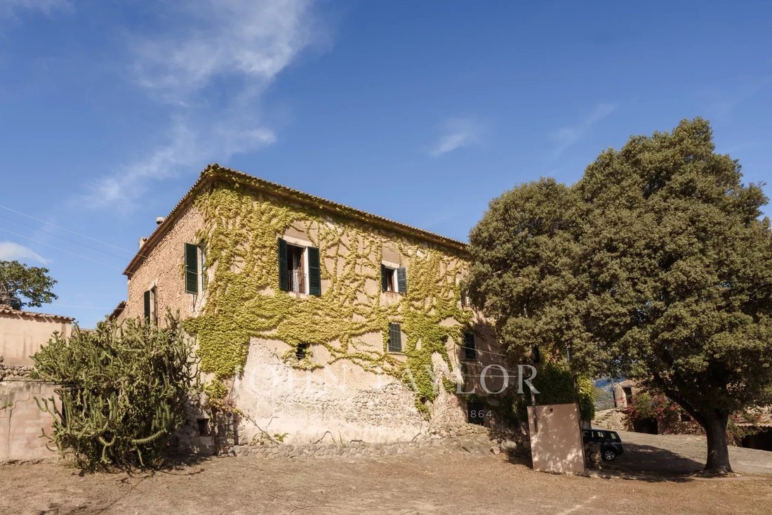 Estate in Puigpunyent, Balearic Islands, Spain 5 - 17426858