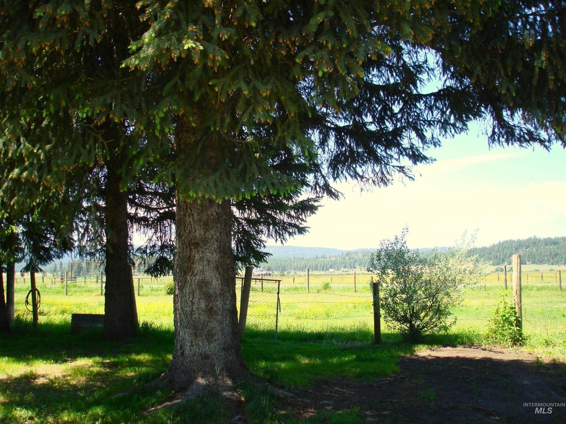 New Meadows, Idaho, United States 4 - 17427041