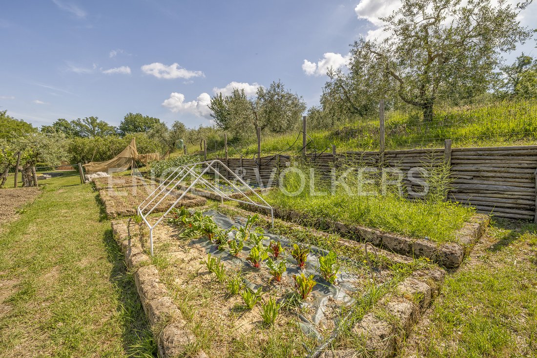 Country House in Cetona, Tuscany, Italy 5 - 17427255