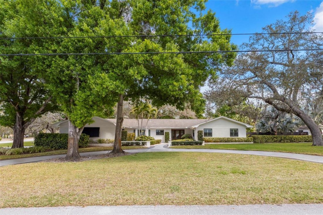 House in Palm Harbor, Florida, United States 3 - 17427505