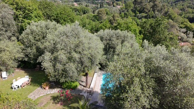 House in Grasse, Provence-Alpes-Côte d'Azur, France 3 - 17431516