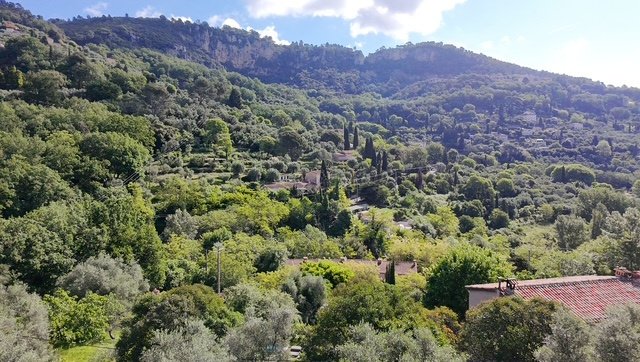 House in Grasse, Provence-Alpes-Côte d'Azur, France 4 - 17431516