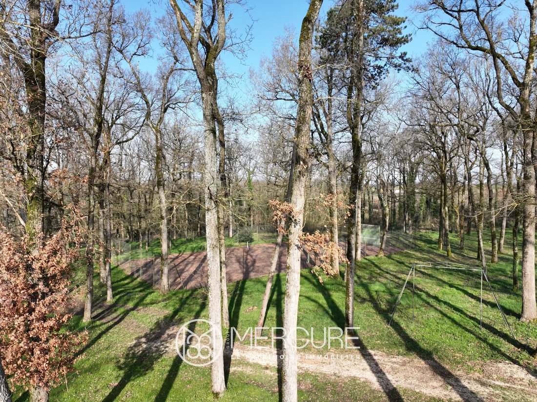 Estate in Centre Ville - Saint Martial, Chauvigny, France 5 - 17429098