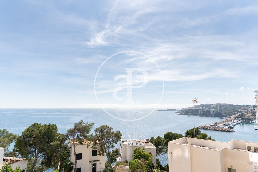 Apartment in Palma, Balearic Islands, Spain 1 - 17433580