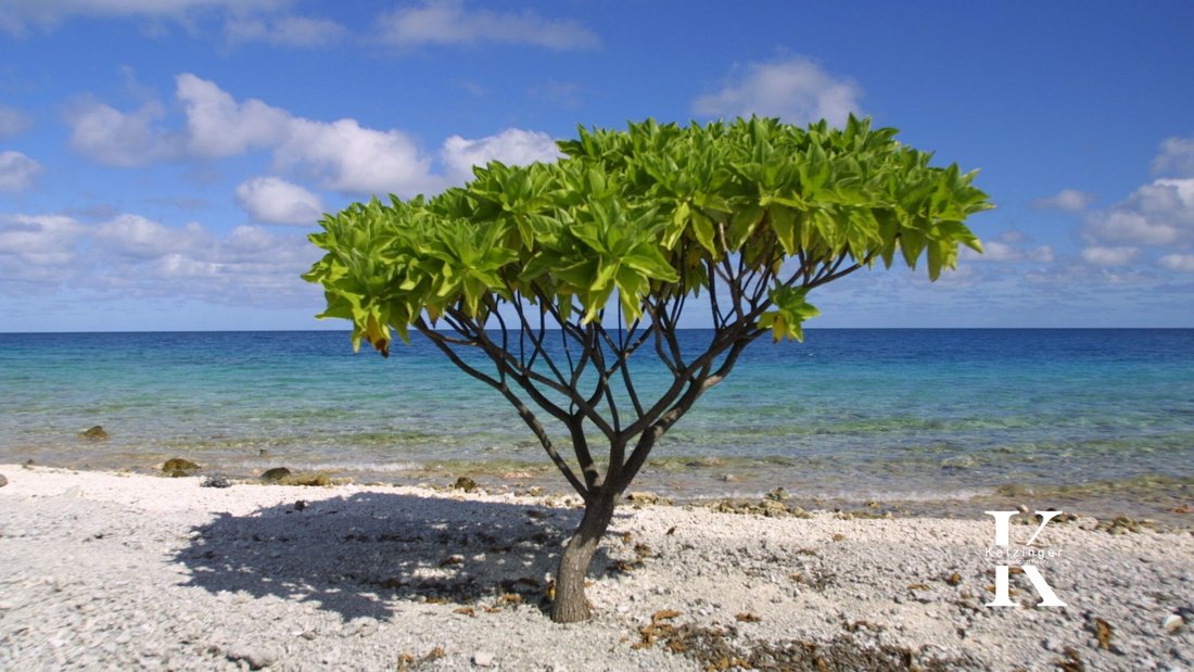 Land in Polynésie Française, French Polynesia 3 - 17432844