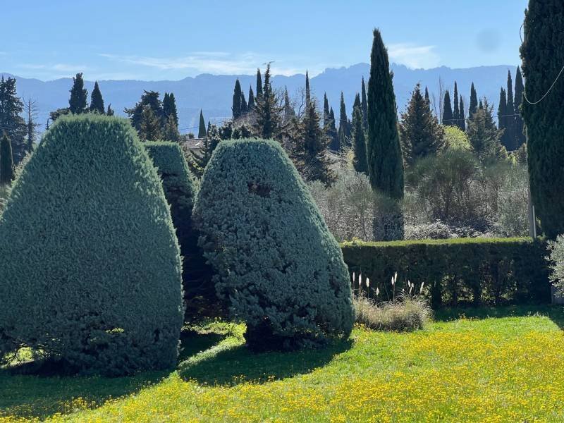 House in Séguret, Provence-Alpes-Côte d'Azur, France 5 - 17429299