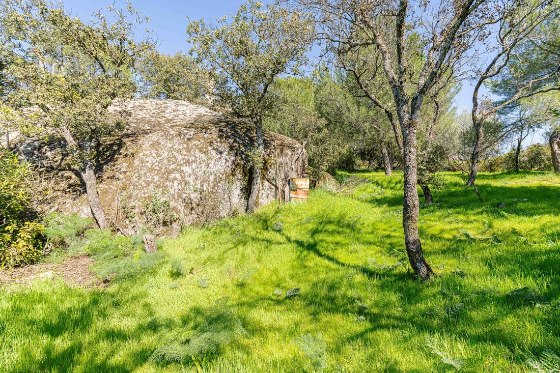 Land in Torrelodones, Comunidad de Madrid, Spain 4 - 17431732