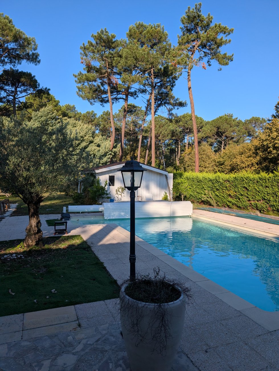 Villa in Cazaux, La Teste-de-Buch, France 4 - 17431438