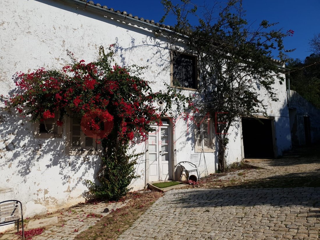 Finca in Sao Bras de Alportel, Algarve, Portugal 1 - 17431988