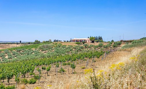 House in Marinella di Selinunte, Castelvetrano, Sicily 1