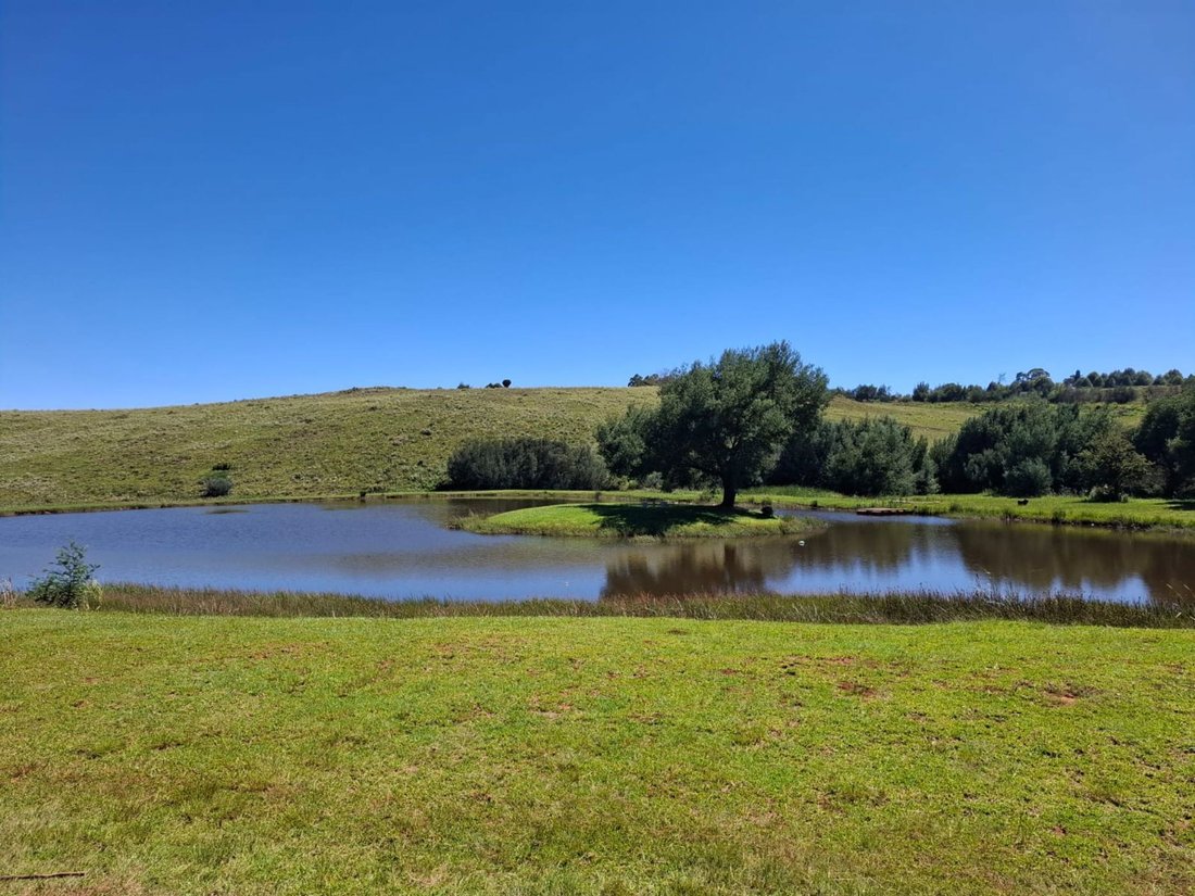 Farm Ranch in Dullstroom, Mpumalanga, South Africa 3 - 17431242