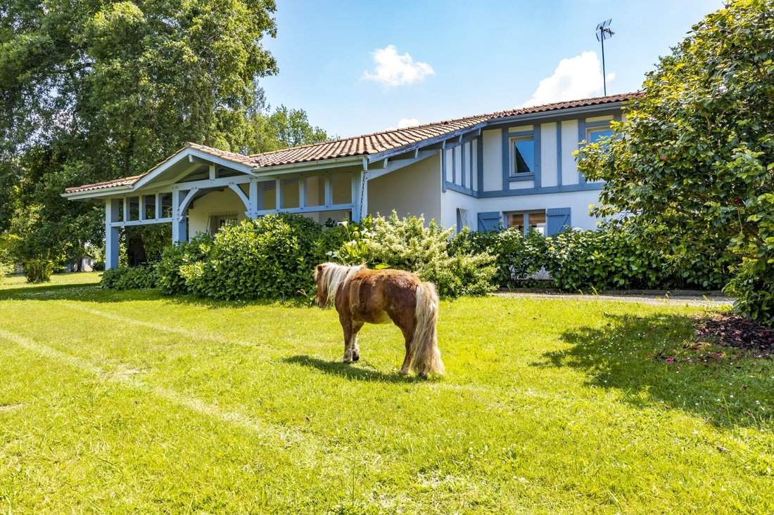 House in Est, Saint-Vincent-de-Tyrosse, France 4 - 17377941