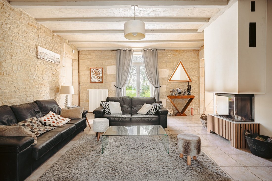 Estate in Surgères, Nouvelle-Aquitaine, France 4 - 17431416
