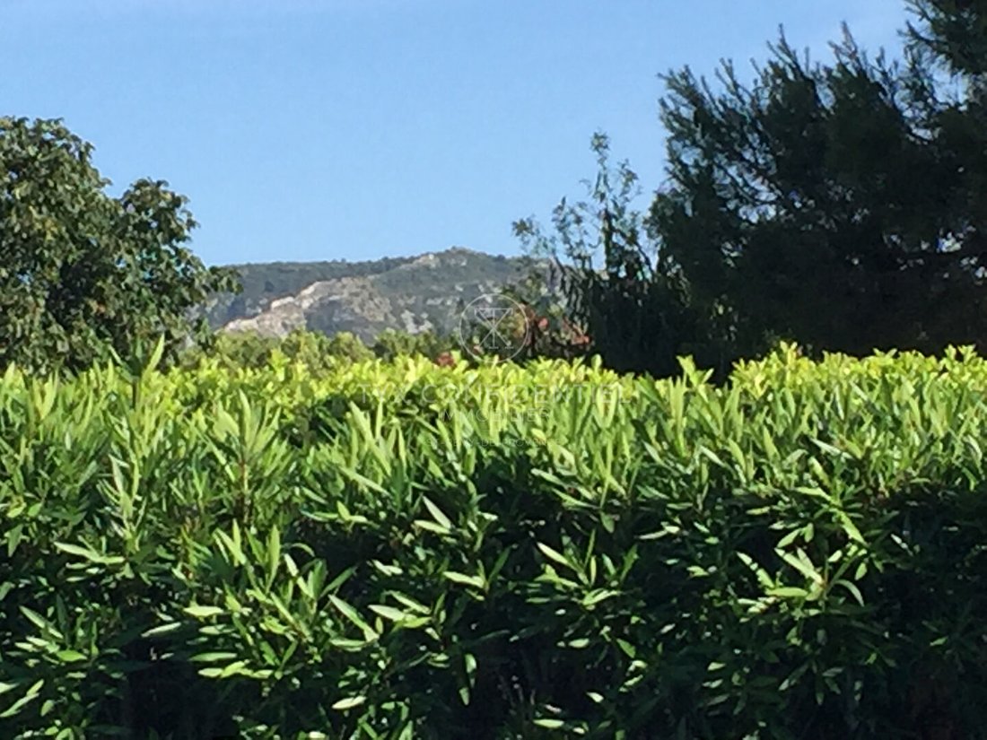 Villa in Saint-Rémy-de-Provence, Provence-Alpes-Côte d'Azur, France 5 - 17431826