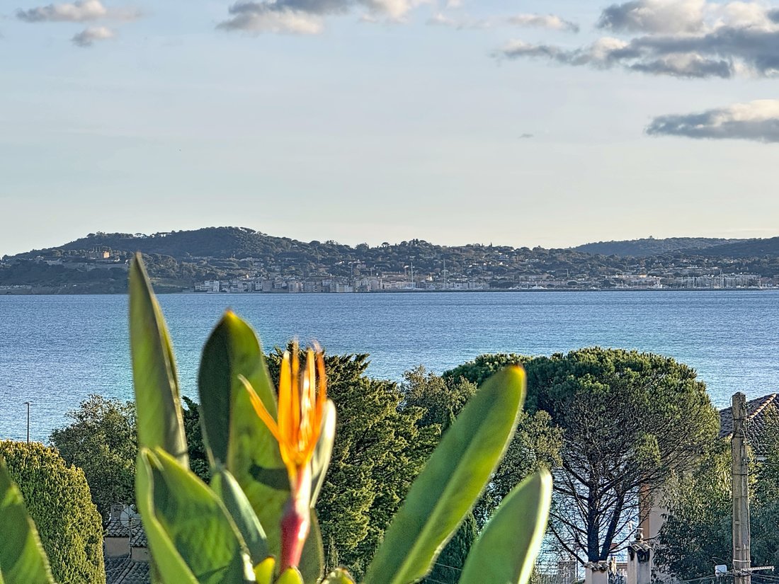 Apartment in Ville-Les Saquedes-Le Bouillonnet, Sainte-Maxime, France 1 - 14385827