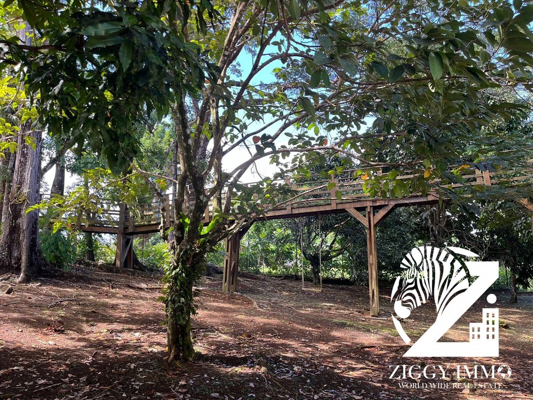 House in Petit-Bourg, Basse-Terre, Guadeloupe 5 - 17432686