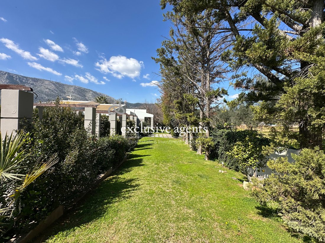 House in Paiania, Attica, Greece 3 - 17428841