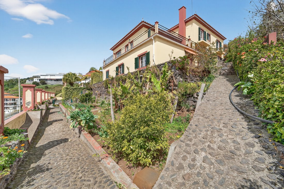 House in Reed, Madeira, Portugal 3 - 17428813