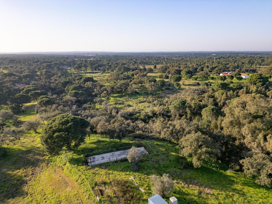 Land in Melides, Setubal, Portugal 4 - 17434331