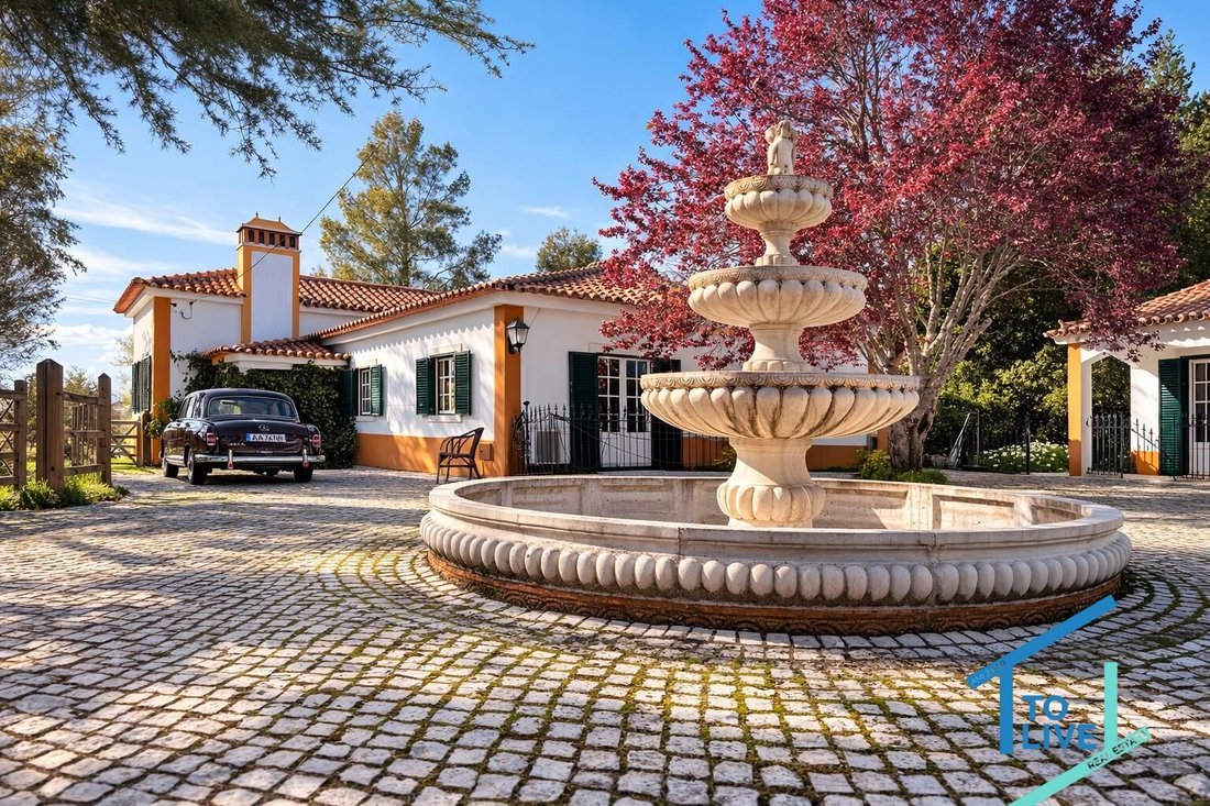 Villa in Paialvo, Santarem District, Portugal 1 - 17433621