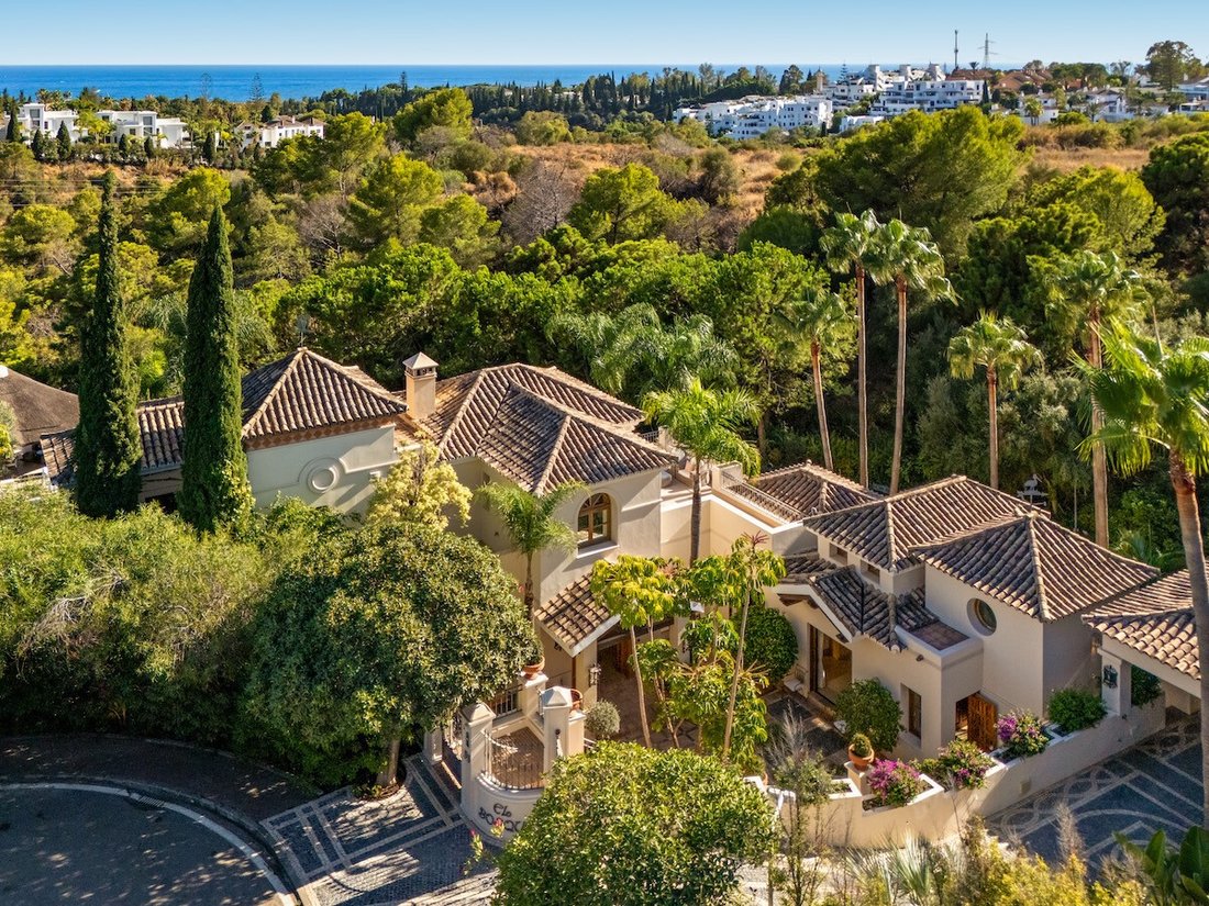 Villa in Marbella, Andalusia, Spain 3 - 17433806