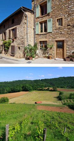 Apartment in Saint-Romain-au-Mont-d'Or, Auvergne-Rhône-Alpes, France 4 - 17433729