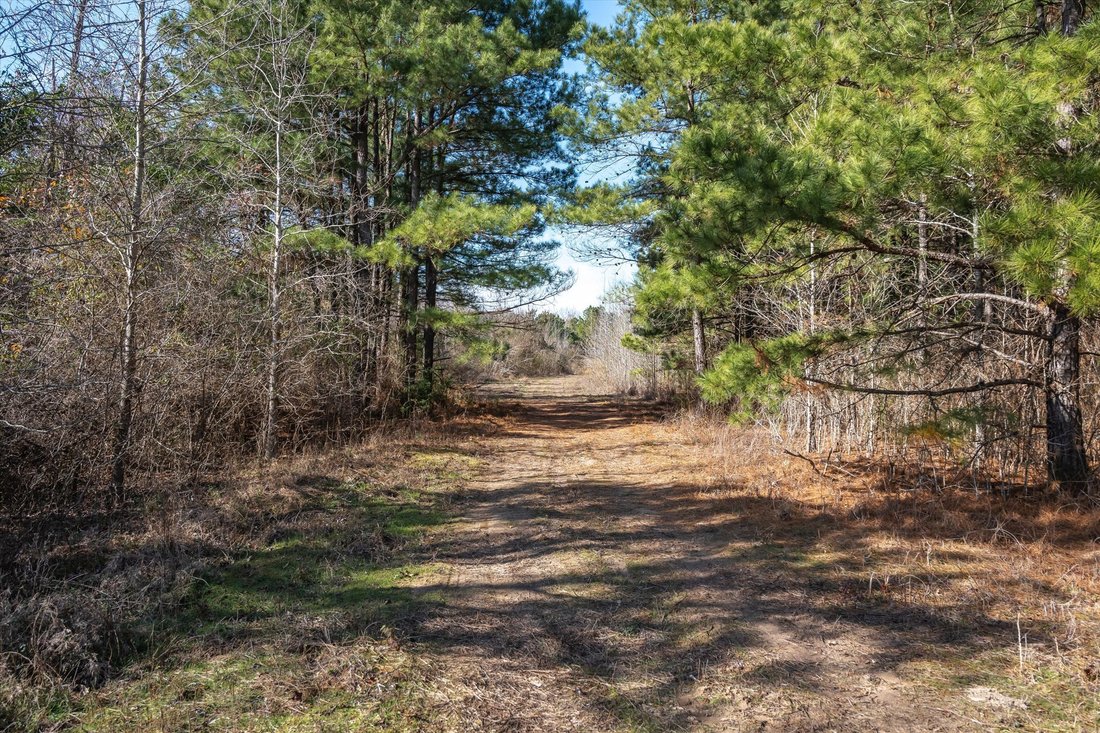 Land in Ben Wheeler, Texas, United States 4 - 17434906