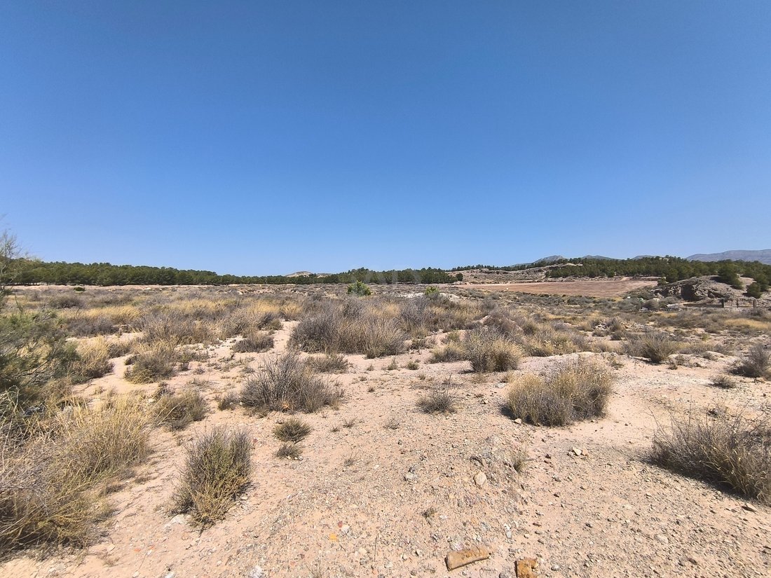 Land in Sax, Valencian Community, Spain 4 - 16043432