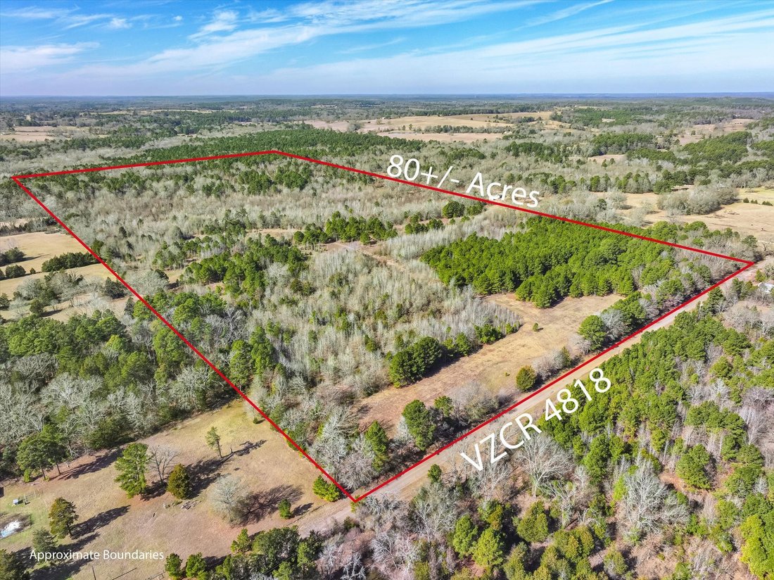 Land in Ben Wheeler, Texas, United States 2 - 17434906