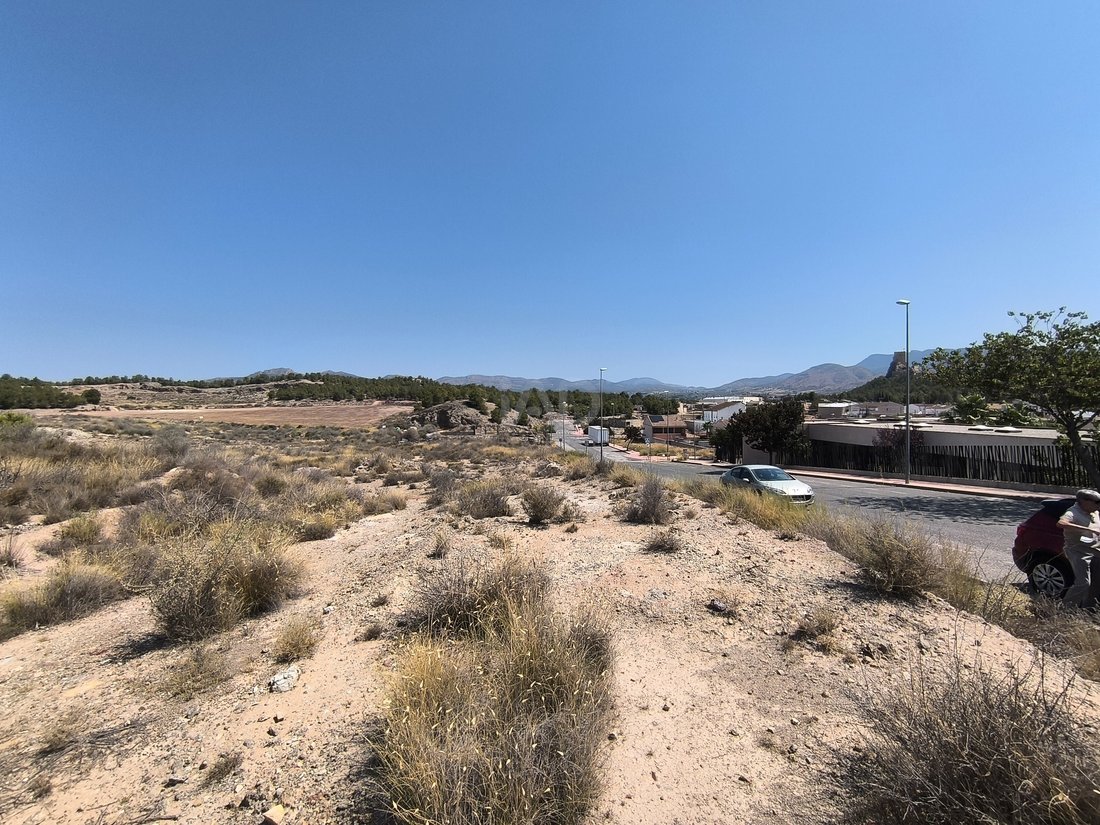 Land in Sax, Valencian Community, Spain 3 - 16043432