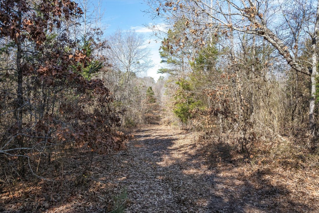 Land in Ben Wheeler, Texas, United States 5 - 17434906