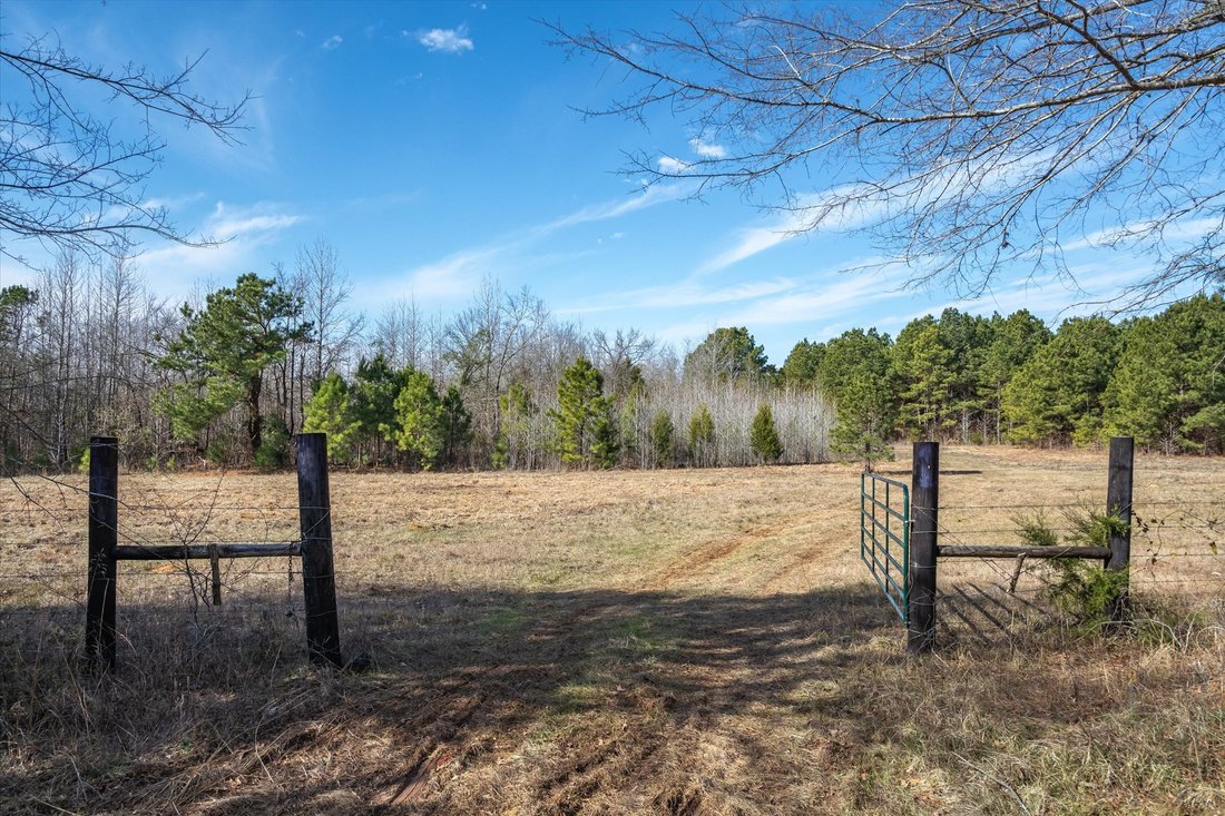 Land in Ben Wheeler, Texas, United States 3 - 17434906