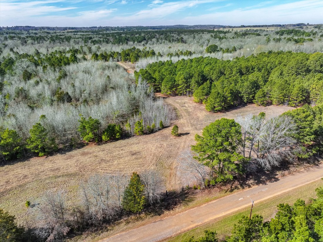 Land in Ben Wheeler, Texas, United States 1 - 17434906