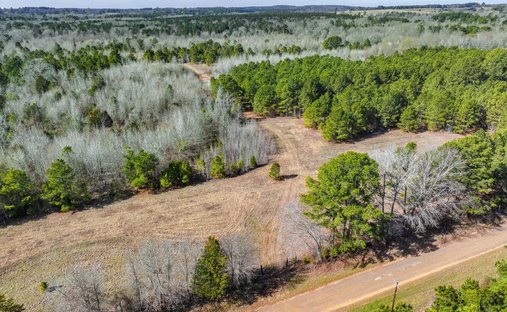 Land in Ben Wheeler, Texas, United States 1