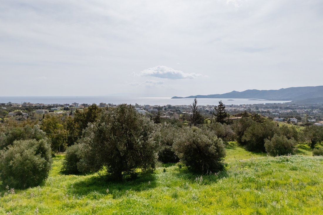 Land in Euboea, Thessaly and Central Greece, Greece 3 - 16581726