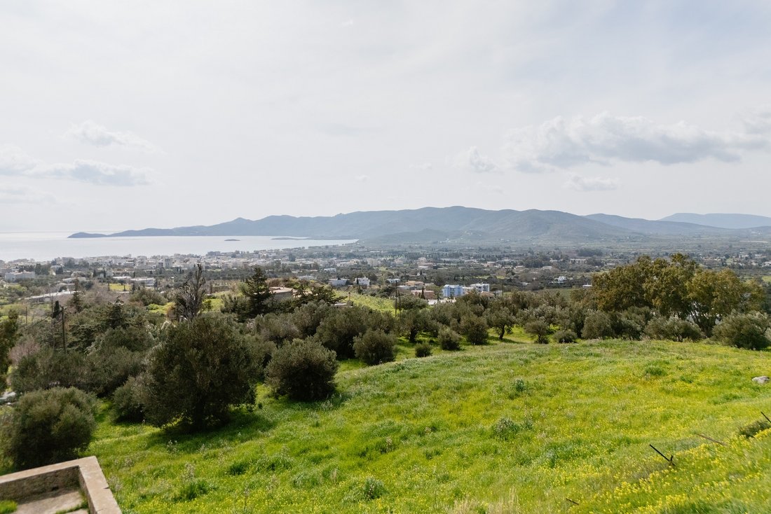 Land in Euboea, Thessaly and Central Greece, Greece 4 - 16581726