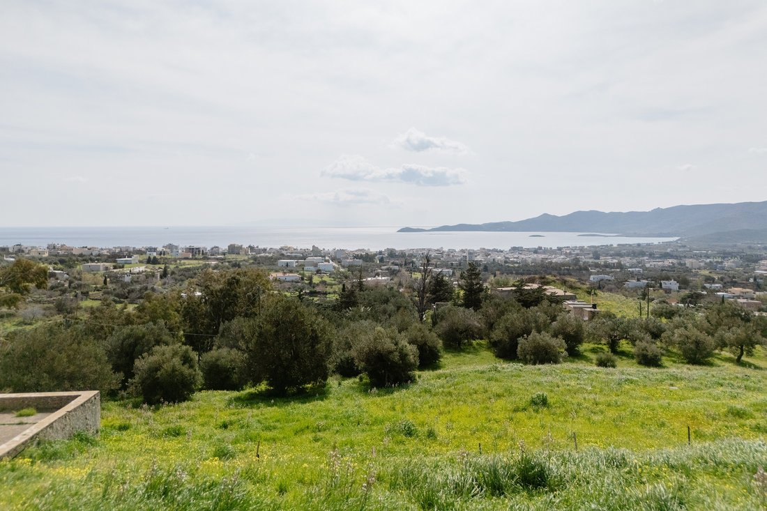 Land in Euboea, Thessaly and Central Greece, Greece 1 - 16581726