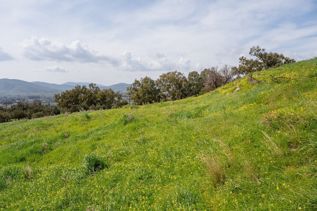 Land in Euboea, Thessaly and Central Greece, Greece 2 - 16581726