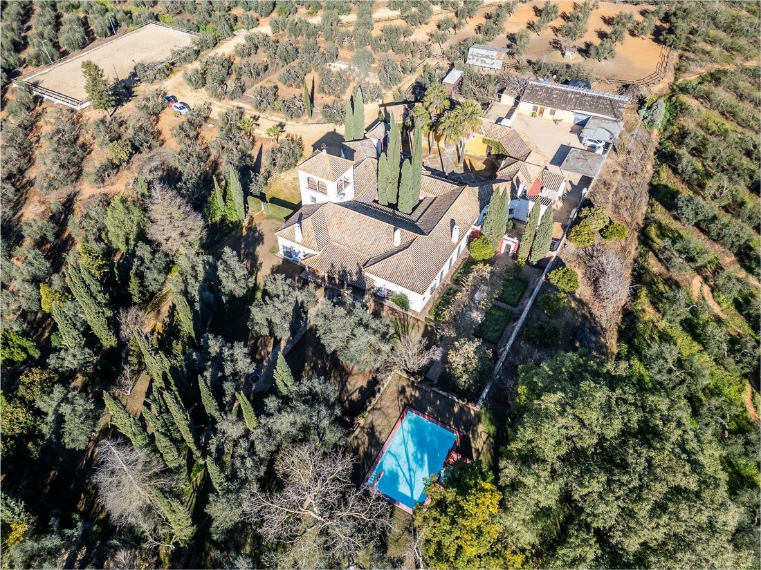 Finca in Mairena del Aljarafe, Andalusia, Spain 5 - 14371575