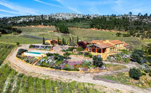 Azienda agricola a Assuncao, Distretto di Portalegre, Portogallo 1