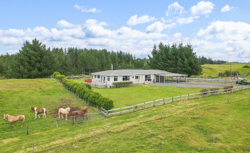 Farm Ranch in Rerewhakaaitu, New Zealand 1