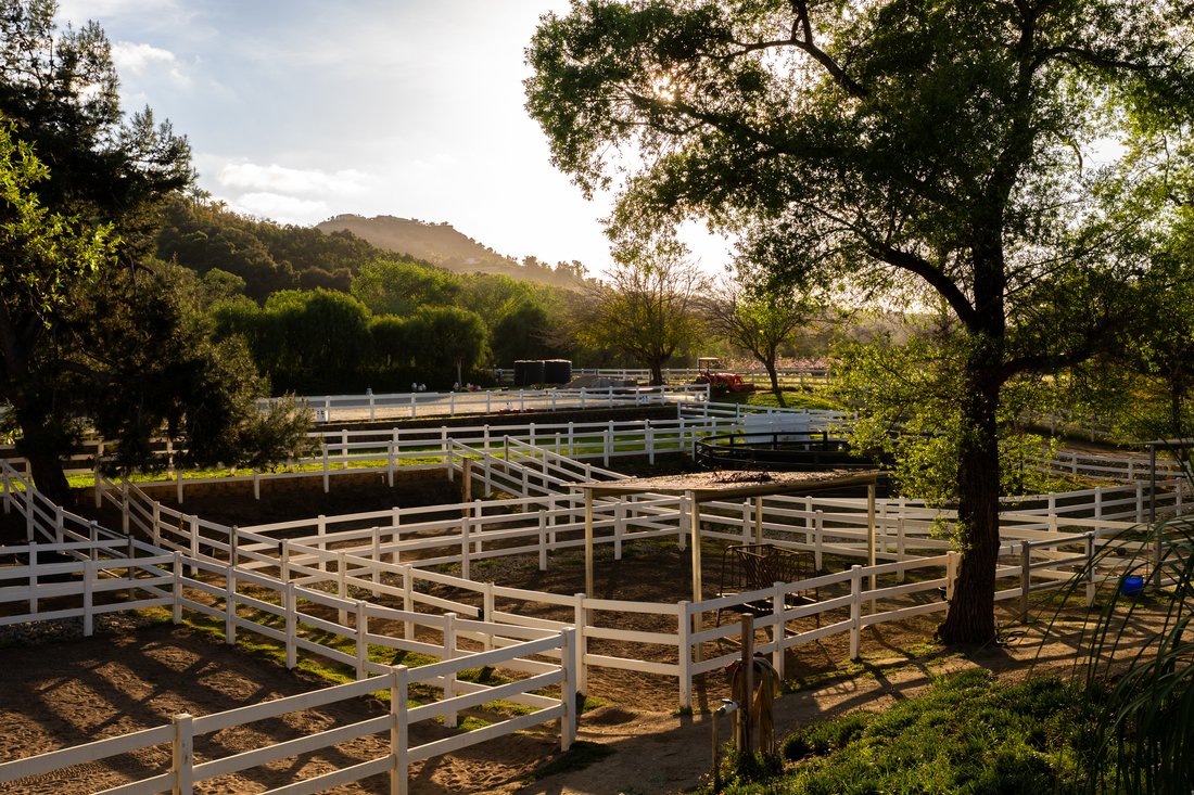 Bonsall, California, United States 5 - 17435161