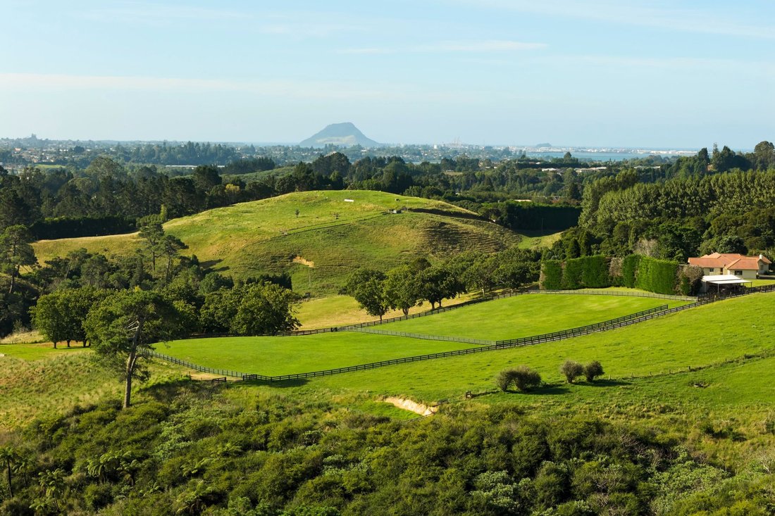 Land in Oropi, Bay of Plenty, New Zealand 3 - 17438797