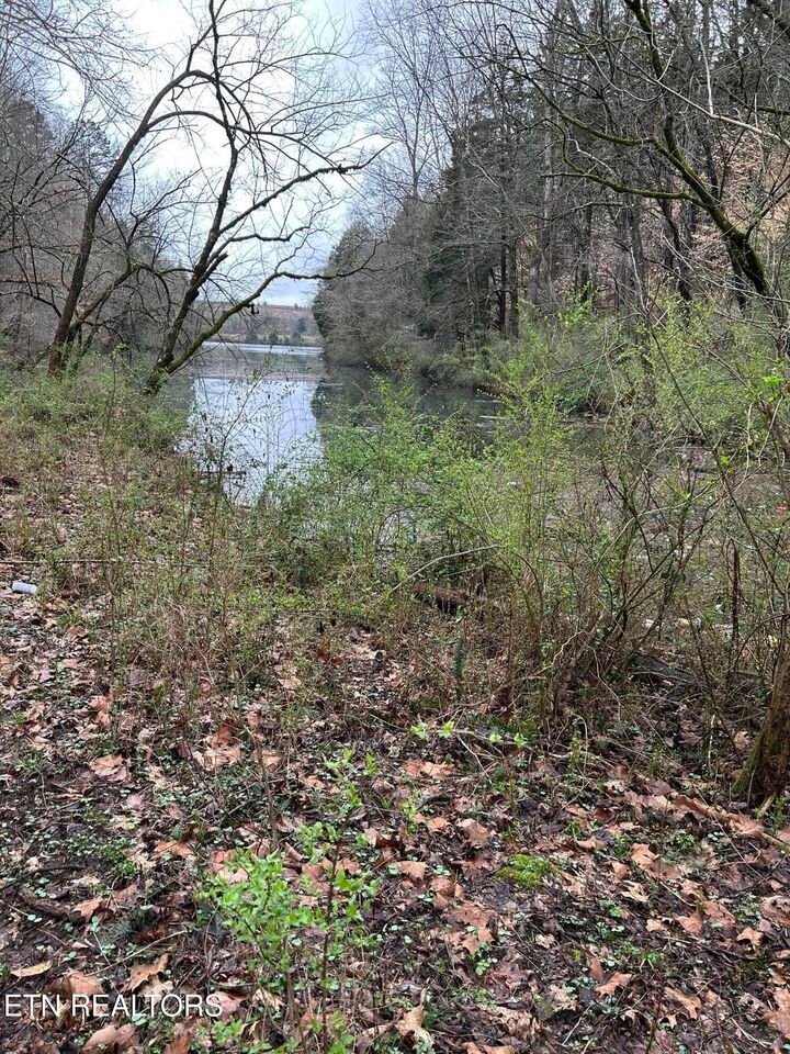 Land in Knoxville, Tennessee, United States 4 - 17439542