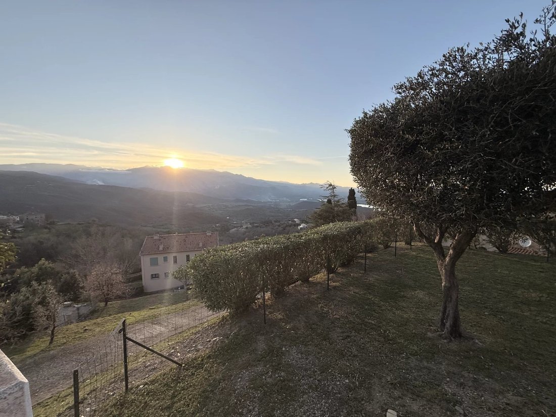 Villa in Olmeta-di-Tuda, Corsica, France 2 - 17436529