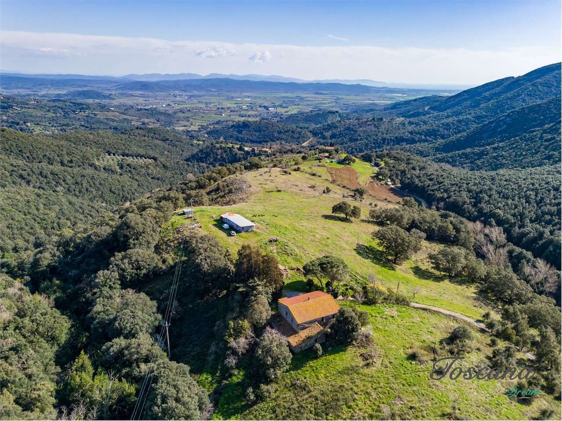 Estate in Suvereto, Tuscany, Italy 2 - 17438268