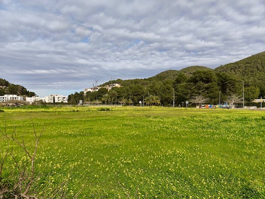 Land in Sant Joan de Labritja, Balearic Islands, Spain 4 - 17193123