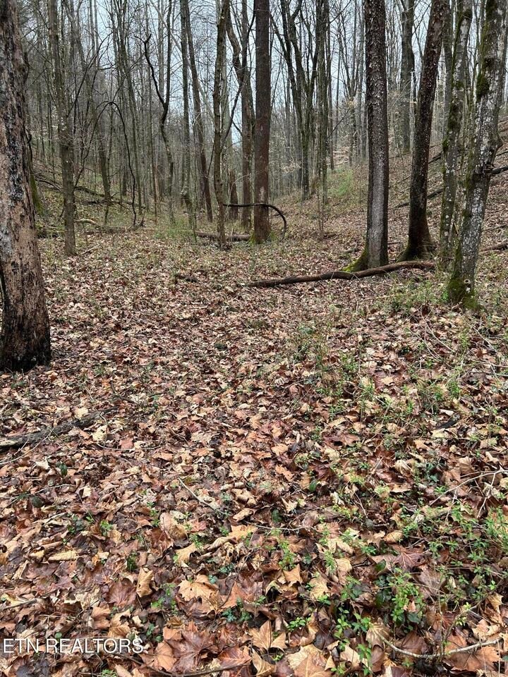 Land in Knoxville, Tennessee, United States 3 - 17439542