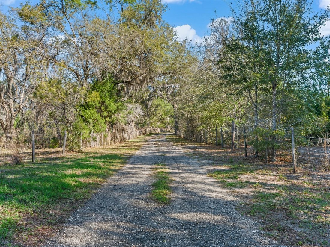 Rancho en Bronson, Florida, Estados Unidos 4 - 17438164