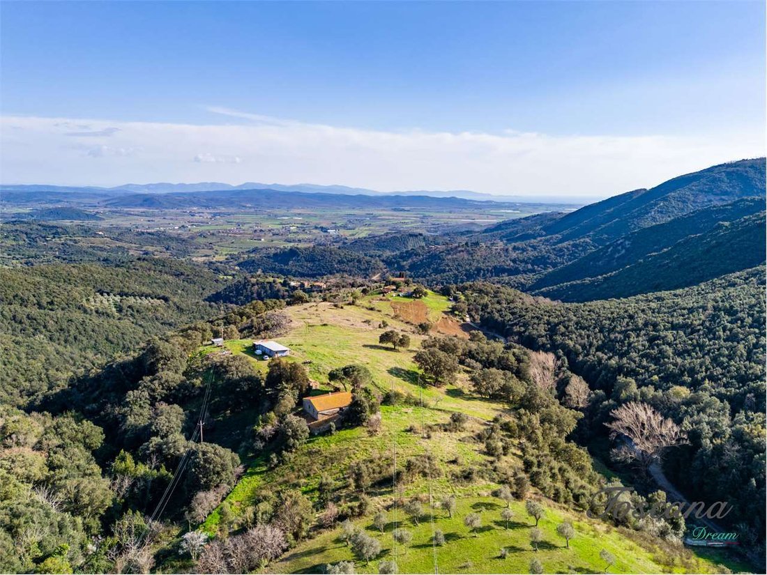 Estate in Suvereto, Tuscany, Italy 5 - 17438268